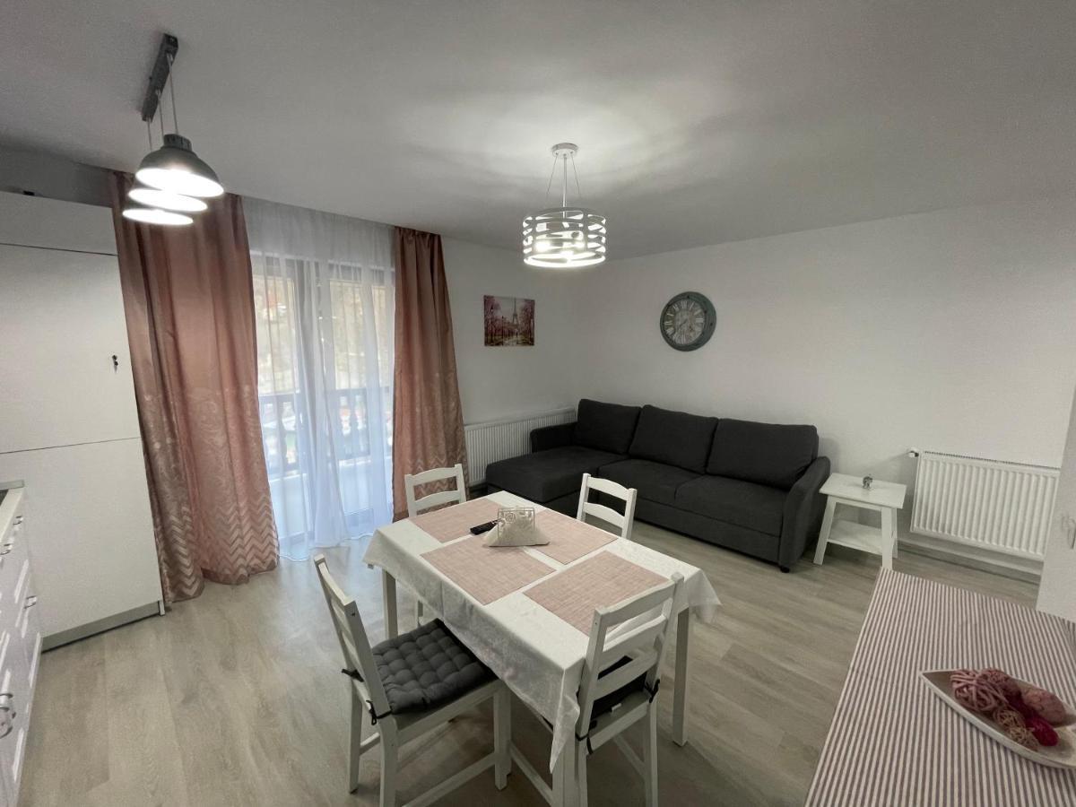 Castle Residence Apt. Eminescu Buşteni Exteriér fotografie