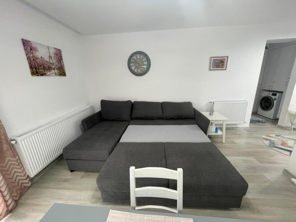 Castle Residence Apt. Eminescu Buşteni Exteriér fotografie
